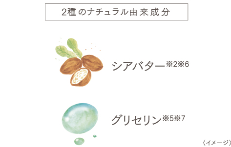 オルキスカラー