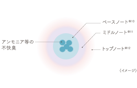 オルキスカラー